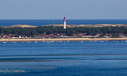 La Maison du Bassin et la Villa Colette au Cap Ferret