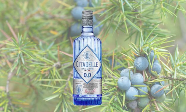 Citadelle 0.0 : quand la parfumerie réinvente le sans alcool