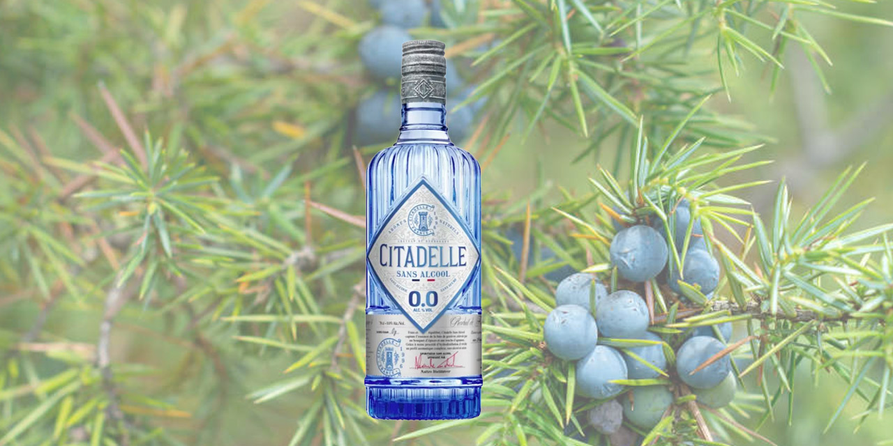 Citadelle 0.0 : quand la parfumerie réinvente le sans alcool