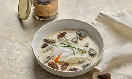 Oeufs pochés à la crème de morilles