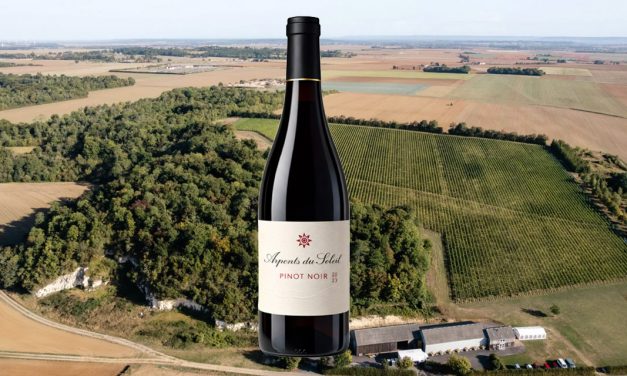 Pinot Noir 2023 des Arpents du Soleil, Bouteille du Week-End