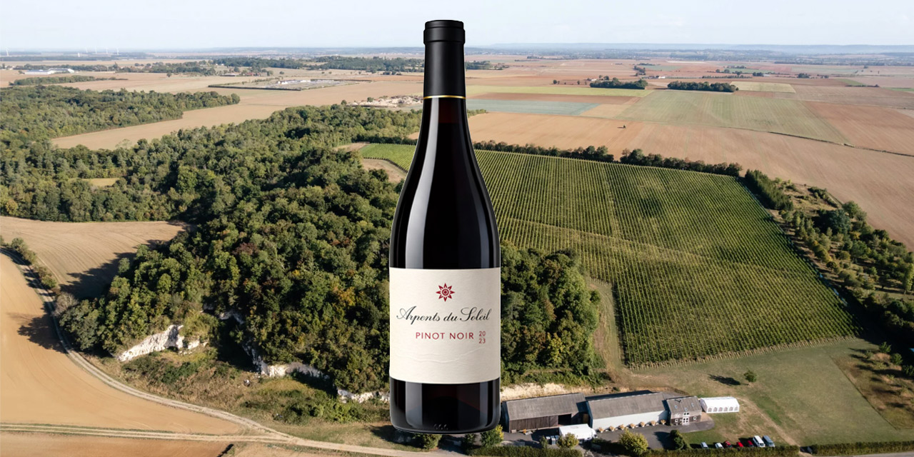 Pinot Noir 2023 des Arpents du Soleil, Bouteille du Week-End