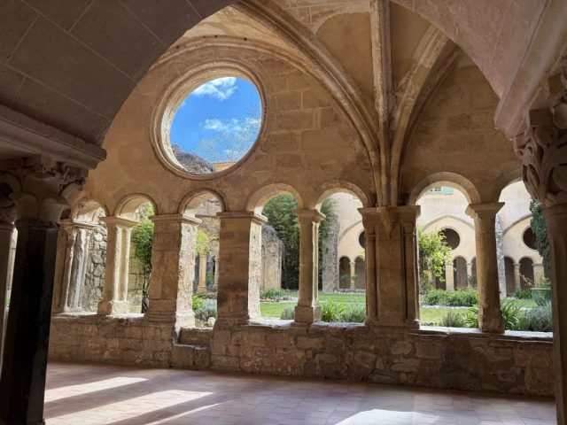 IMG_7751