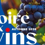 La Foire aux Vins Carrefour c&rsquo;est en ce moment