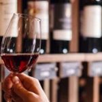 La Foire aux Vins de la Coopérative U est lancée